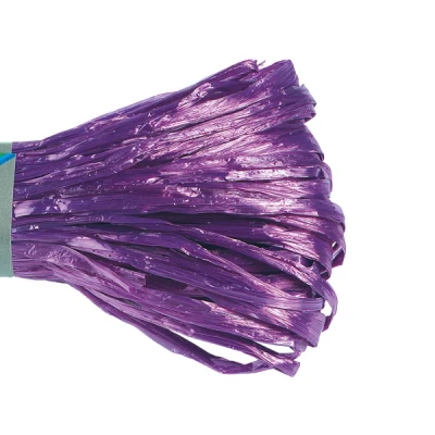 Image de Folia raphia (30 mètres) violet