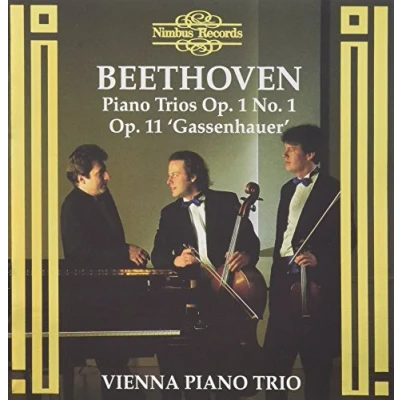 Afbeelding van Vienna Piano Trio Beethoven: Trios Op. 1 No1 &amp; (CD)
