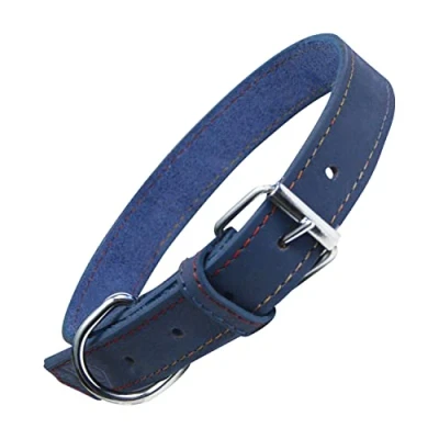 Afbeelding van Dog collar Gloria Oasis Blue (65 x 3 cm)