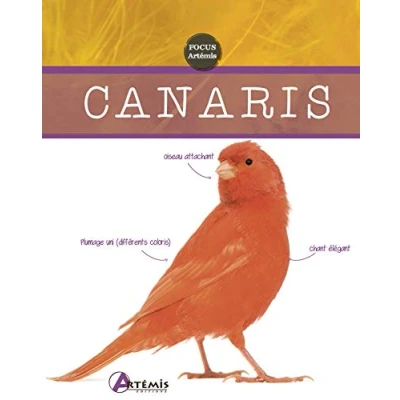 Afbeelding van Canaris