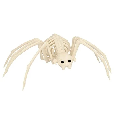 Afbeelding van Boland Spin skelet (37 x 21 11 cm) Horror