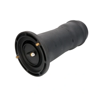 Afbeelding van Magnum Technology MZL001MT Pneumatischeveerpoot Achteras links, rechts