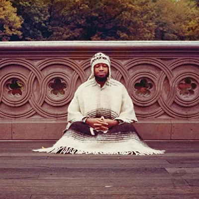 Afbeelding van Laraaji Seque To Infinity (4 LP) (Coloured Vinyl)