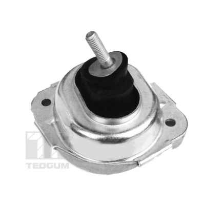 Afbeelding van Aslichaam /motorsteunlager TEDGUM 00088550