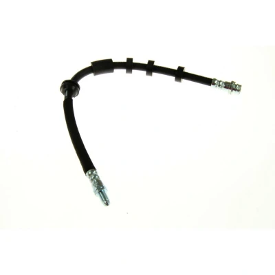 Afbeelding van Remslang DELPHI LH6805