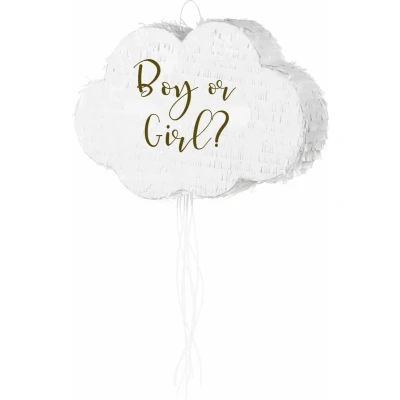 Afbeelding van Gender Reveal Pinata Boy or Girl? Meisje Geslachtsonthulling Bekend making geslacht