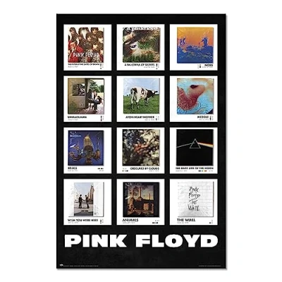 Afbeelding van Poster Pink Floyd Covers 61x91,5cm