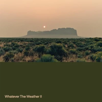 Afbeelding van Whatever The Weather Wahatever II (LP) (Coloured Vinyl)