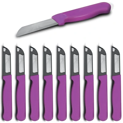 Afbeelding van Solingen Schilmesje Robuust Handvat RVS Glad 16 cm met &quot;Blade Cover&quot; Roze 10 stuks