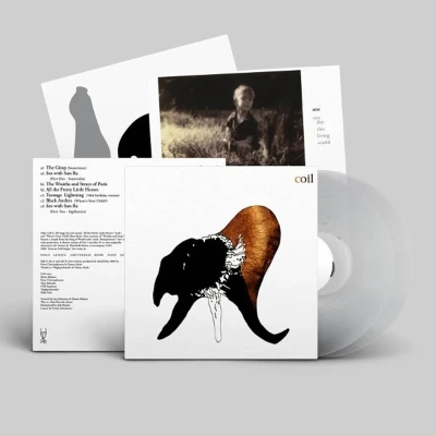 Afbeelding van Coil Black Antlers (2 LPs)