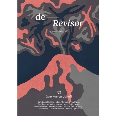 Afbeelding van Revisor 33