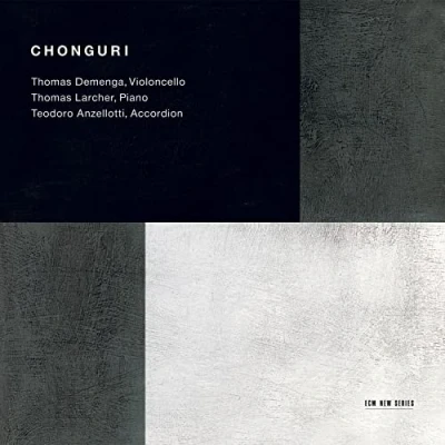 Afbeelding van Thomas Larcher, Teodoro Anzellotti, Demenga Chonguri (CD)