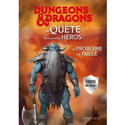 Image de DUNGEONS &amp; DRAGONS La Quête dont on est le héros Un problème de taille