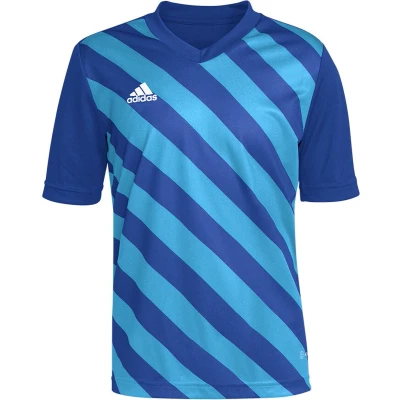 Afbeelding van adidas Entrada 22 GFX Jersey Youth Blauwe voetbalshirt 152