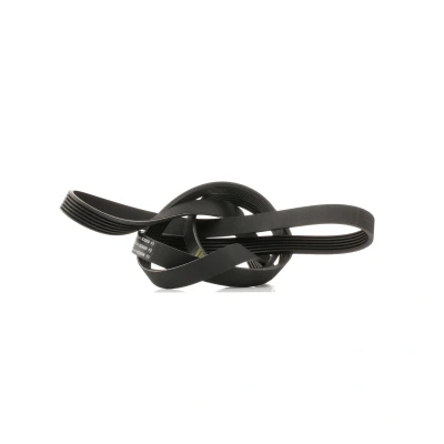 Afbeelding van Bosch Poly V riem 1 987 946 044