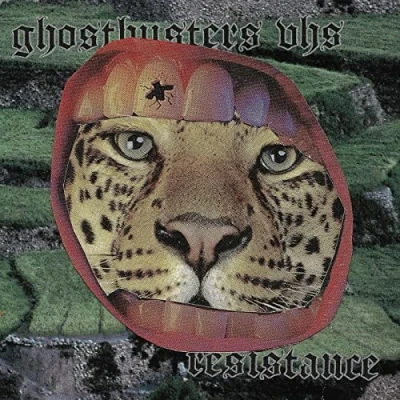 Afbeelding van Ghostbusters Vhs Resistance