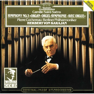 Afbeelding van Saint Saëns: Symphony No.3 &quot;Organ&quot; (CD)