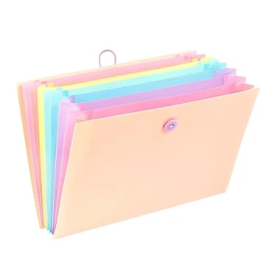 Image de Viquel Trieur extensible 8 compartiments pour documents A4 RAINBOW PASTEL Beige