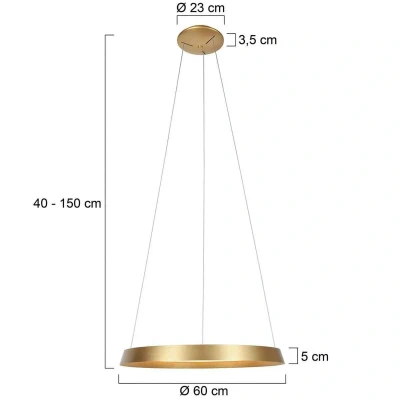 Afbeelding van Ringlux Hanglamp LED d:60cm goud 2700K 4000lm Modern Steinhauer