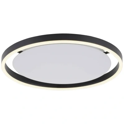 Afbeelding van Paul Neuhaus Plafondlamp Ritus Antraciet Ø 40cm incl. Dimmer