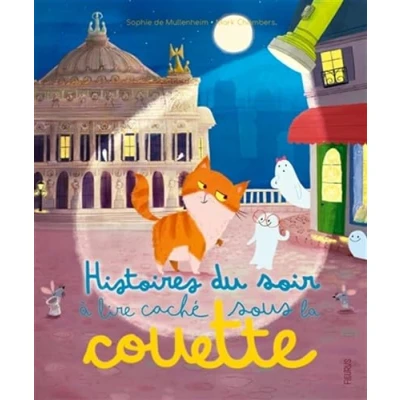 Afbeelding van HISTOIRES DU SOIR A LIRE CACHE SOUS LA COUETTE