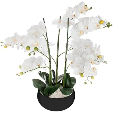 Afbeelding van ORCHIDEE plant PRACHTIGE Orcidee bloem WIT ZWARTE KERAMISCHE POT HOOGTE 65 CM XL Model