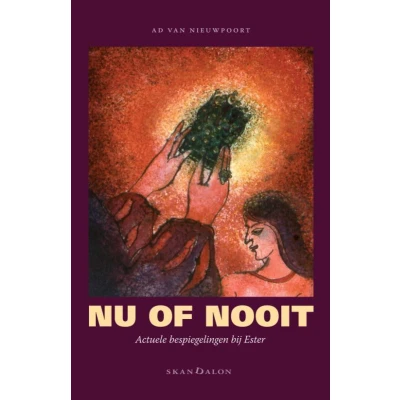 Afbeelding van Nu of nooit