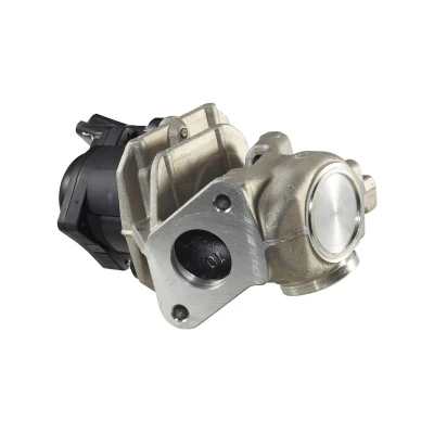 Afbeelding van Hella EGR klep 6NU 010 171 111