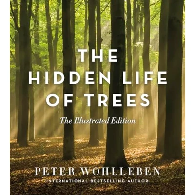 Afbeelding van The Hidden Life of Trees