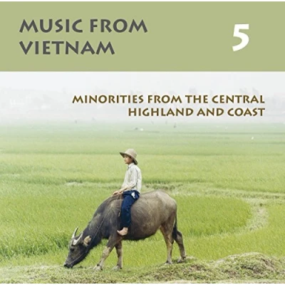 Afbeelding van Various Artists Music From Vietnam Volume 5 (CD)