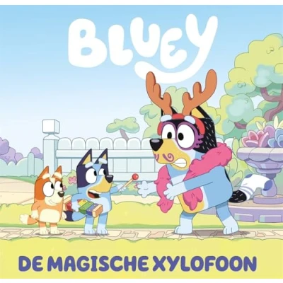 Afbeelding van De Magische Xylofoon