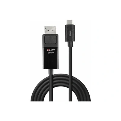 Image de Lindy Câble adaptateur USB C (M) pour DisplayPort (F) 1.2 2 m rond support 4K60Hz (3840 x 2160) noir