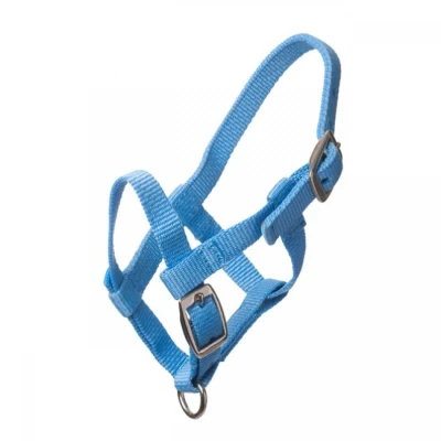 Image de HB Licol Nylon Bleu clair Poulain Miniature