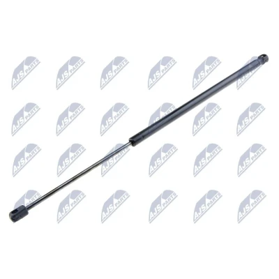 Afbeelding van NTY AE FT 008 Gasveer achterklep 740 603