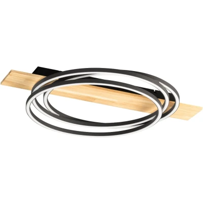 Afbeelding van Fischer &amp; Honsel Marit Plafondlamp LED 44W 6600 lumen Dimbaar 2700 6500K 76 x 57 cm incl. afstandsbediening Zwart