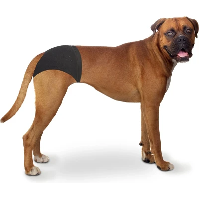 Afbeelding van Duvo Honden Loopsheidbroekje L 40 49 cm