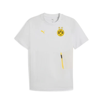 Afbeelding van Borussia Dortmund PUMATECH T shirt met zak voor Heren, Geel/Zilver, Maat 3XL