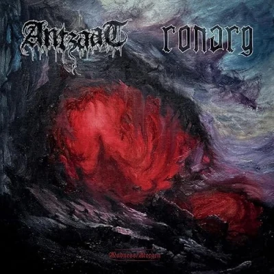 Afbeelding van Antzaat &amp; Ronarg Madness / Morgen (LP) (Coloured Vinyl)
