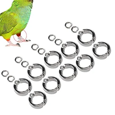 Afbeelding van Legering papegaaitraining voetring, beenring vogelvoetring, buitenvogels voor papegaaien 15e