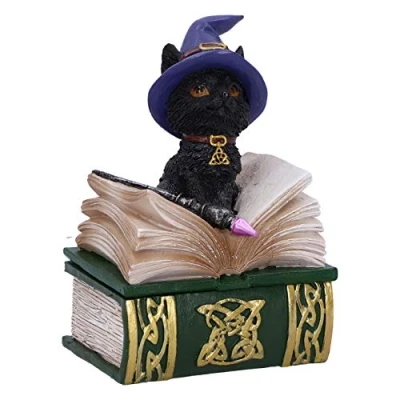 Afbeelding van Nemesis Now Binx Kleine Heksen Vertrouweling Zwarte Kat en Spreukenboek Doos Verzamelbaar Figuur 11cm