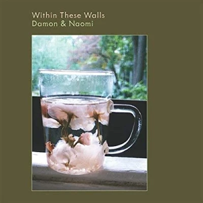 Afbeelding van Damon &amp; Naomi Within These Walls