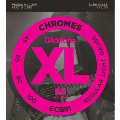 Image de Jeu de cordes guitare basse file plat stainless steel d&#039;addario ecb81 45 65 80 100