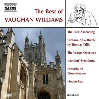 Afbeelding van Various Artists Best Of Vaughan Williams (CD)