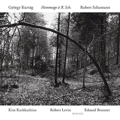 Afbeelding van Kim Kashkashian, Robert Levin, Eduard Brunner Hommage à R. Sch. (CD)
