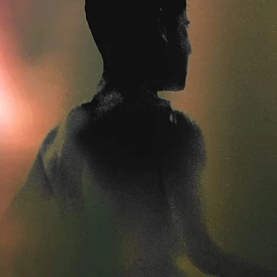 Afbeelding van Subheim Raeon (LP)