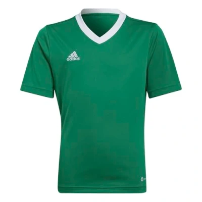 Afbeelding van adidas Entrada T shirt 22 met korte mouwen