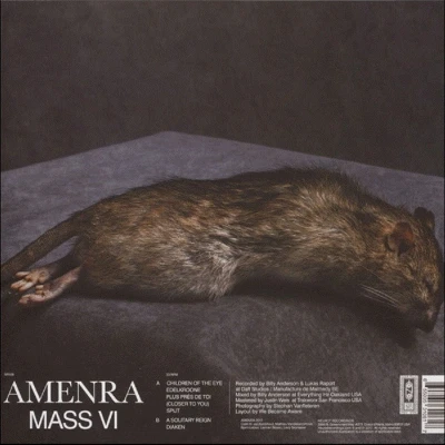 Afbeelding van Amenra Mass Vi (2 LPs)