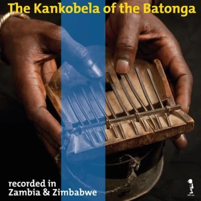 Afbeelding van Various Artists The Kankobela Of Batonga (LP)