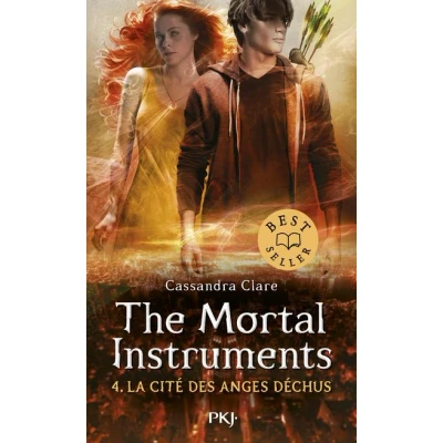 Image de The Mortal Instruments Tome 4 la cité des anges déchus