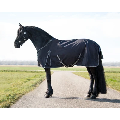 Image de QHP Rug turnout Big neck 300gr